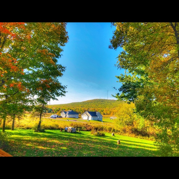 Meet your Posher, Gashmell. - Picture 3 of 12